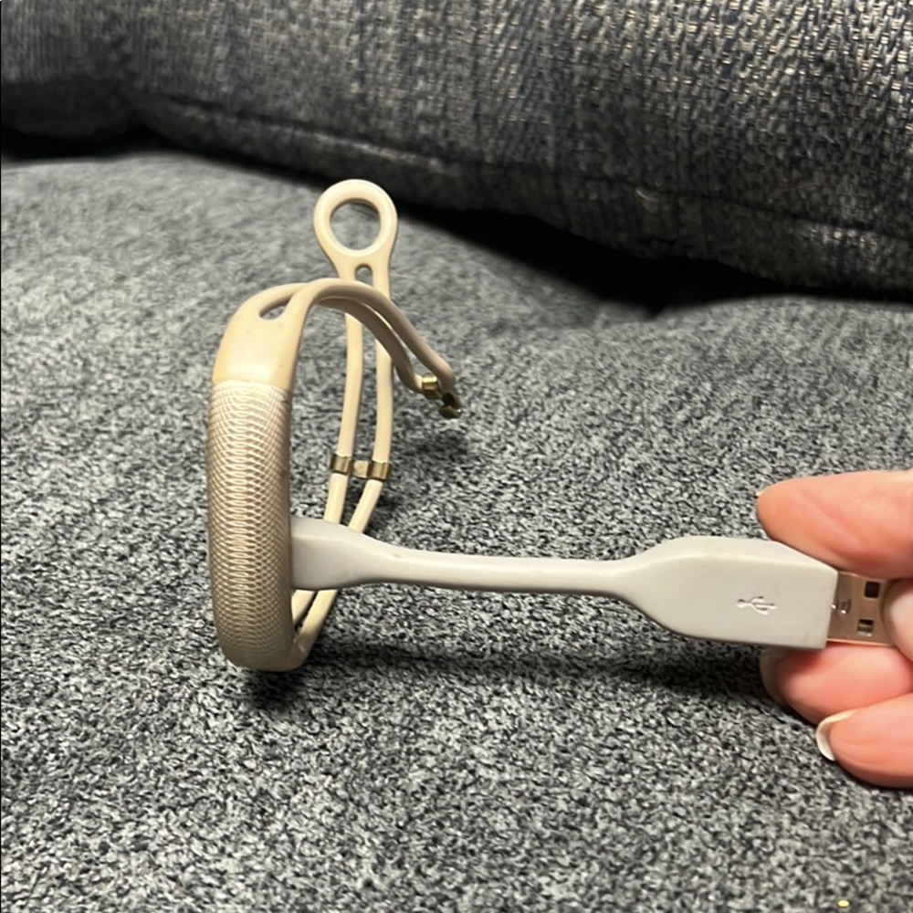 Fitbit Alta with charger